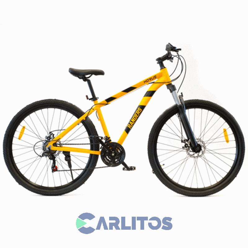 Bicicleta Randers Todo Terreno Rod.29